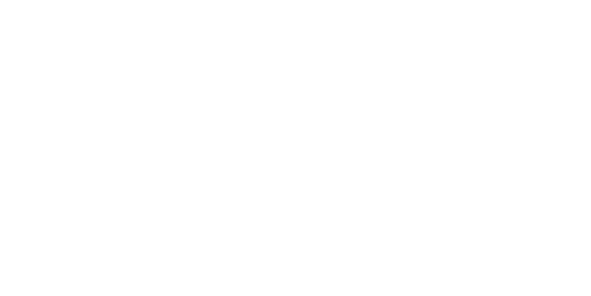 BPT Birla Precision